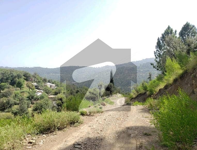 Investors Should Sale This Prime Location Residential Plot Located Ideally In Pir Sohawa