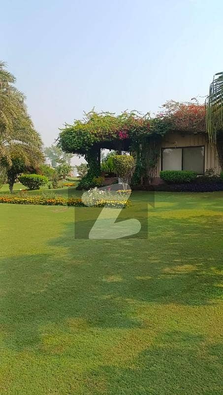 Charming Green Farmhouse For Sale Charming Green Farmhouse For Sale