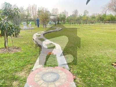 بیدیاں روڈ لاہور میں 1 کنال رہائشی پلاٹ 30.0 لاکھ میں برائے فروخت۔