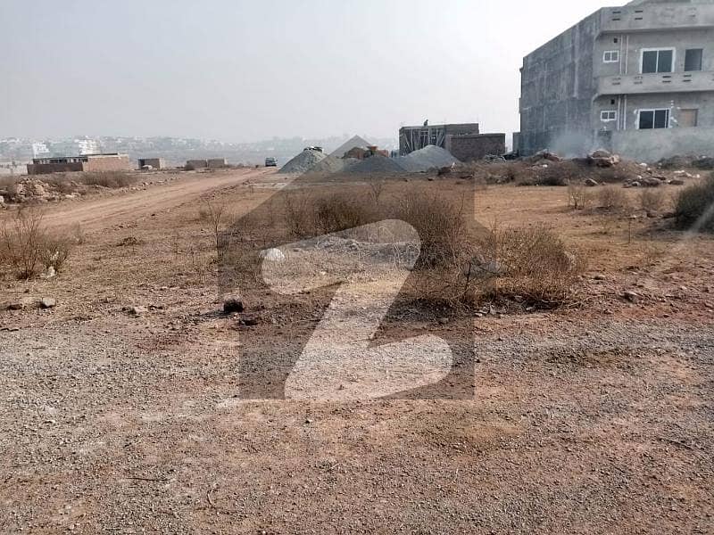 40*80 Solid Land Ready for Construction Plot in G-14/3 for Sale