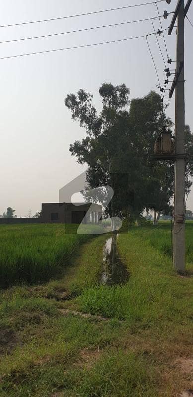 لاہور - شیخوپورہ - فیصل آباد روڈ شیخوپورہ میں 1334 کنال زرعی زمین 16.0 ارب میں برائے فروخت۔