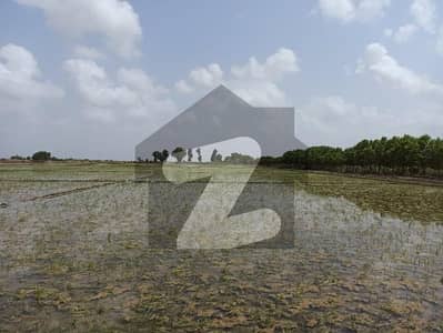 نیشنل ہائی وے کراچی میں 19 کنال زرعی زمین 2.0 کروڑ میں برائے فروخت۔