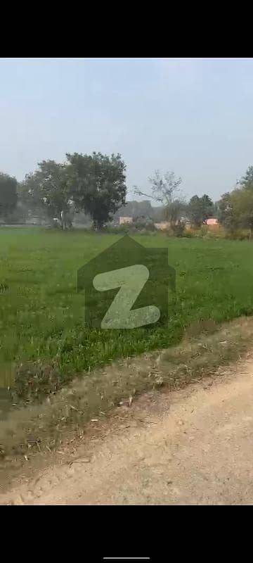 بیدیاں روڈ لاہور میں 1 کنال زرعی زمین 15.0 لاکھ میں برائے فروخت۔