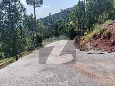 IMPERIAL Heights Located In The Heart IMPERIAL VALLEY Expressway Murree