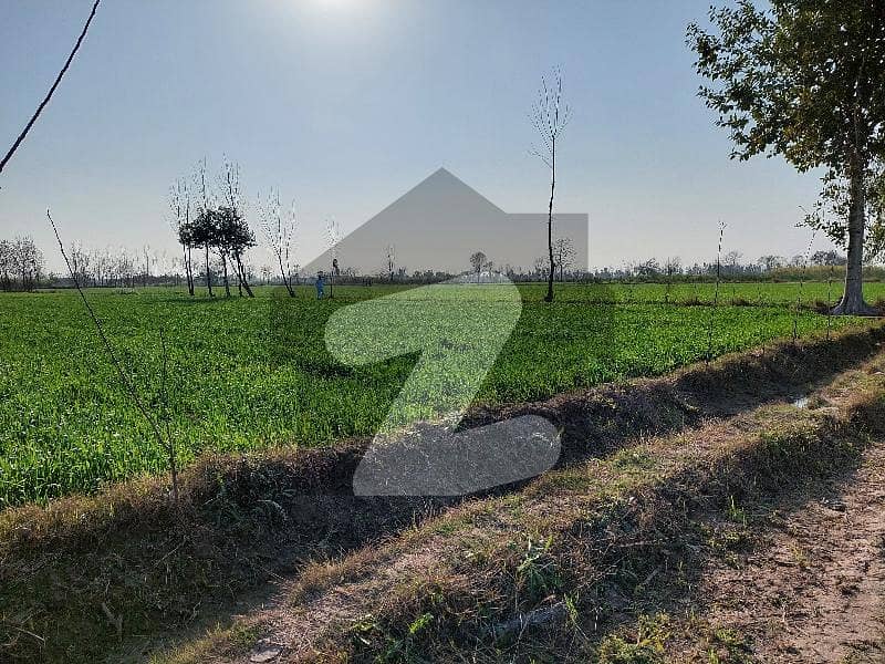 36 kanal agricultural land available for sale
