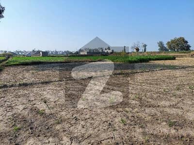 23 kanal agricultural land available for sale