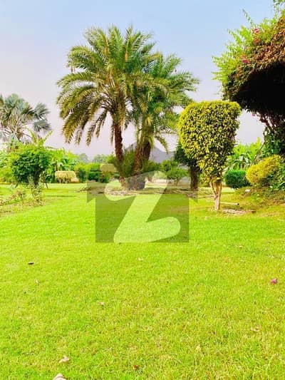 ڈی ایچ اے فیز 10 ڈیفنس (ڈی ایچ اے),لاہور میں 8 کنال زرعی زمین 2.4 کروڑ میں برائے فروخت۔