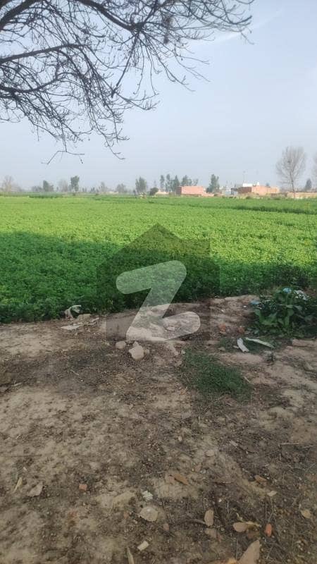 16 Kanal Hot Location Open Land Perfect For A Farmhouse Available On Sue-e-Asal To Raiwind Road Lahore.