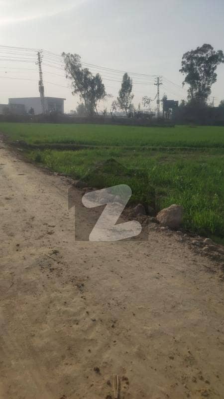 25 Kanal Hot Location Open Land Perfect For A Farmhouse Available On Sue-e-Asal To Raiwind Road Lahore.