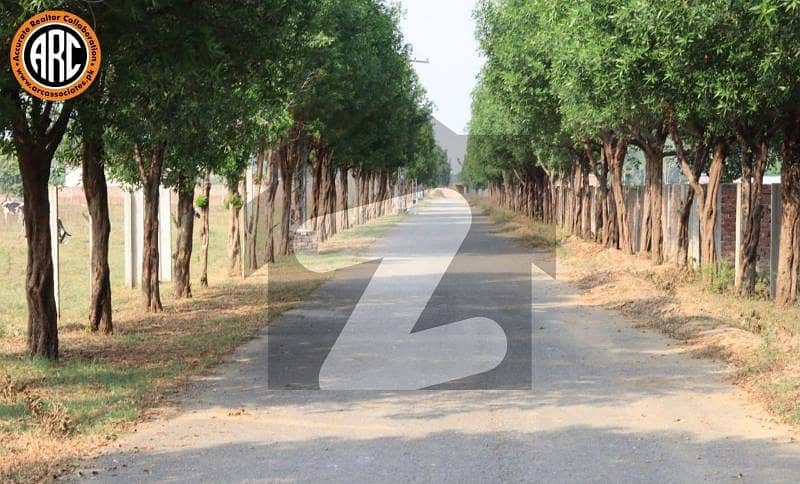 Paragon City Lahore 10 Marla Plot For Sale In Orchard Green Near Park