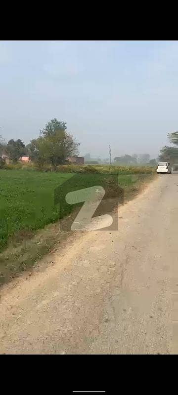 بیدیاں روڈ لاہور میں 1 کنال زرعی زمین 25.0 لاکھ میں برائے فروخت۔