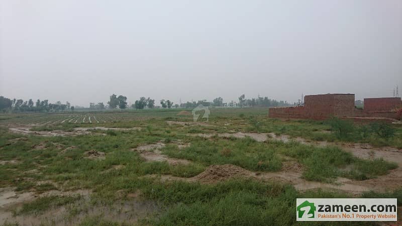 Agriculture Land Of 12 Acres Near Pattoki City Is Available For Sale Agriculture Land Of 12 Acres Near Pattoki City Is Available For Sale