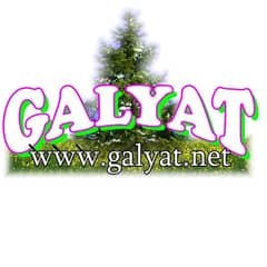 Galyat
