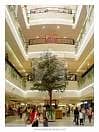 1 shooping mall