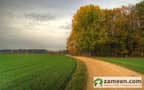 1 Agricultural Land View