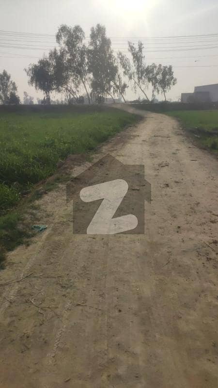 112 Kanal Agricultural Land Available For Sale In Raja Jang At Raiwind Kasure Road