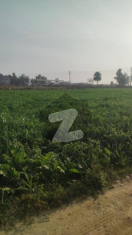 16 Kanal Hot Location Agricultural Land Available For Sale In Raja Jang At Raiwind Kasure Road