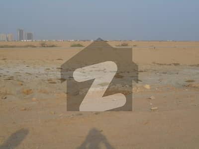 CHANCE DEAL CLEAR PLOT AVAILABLE FOR SALE IN DHA 8
