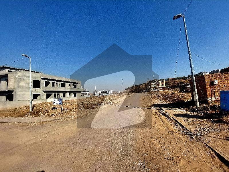 Top Highted Street Plot 
2 kanal And Lavel plots