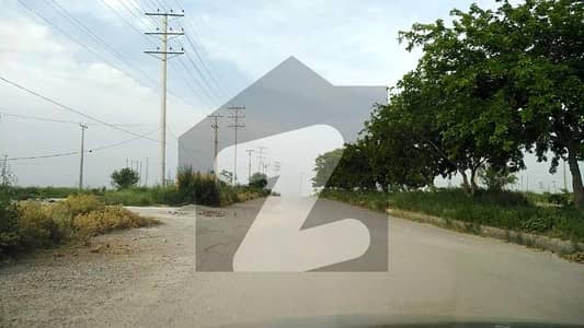 Get This Amazing 5 Marla Residential Plot Available In I-16/3