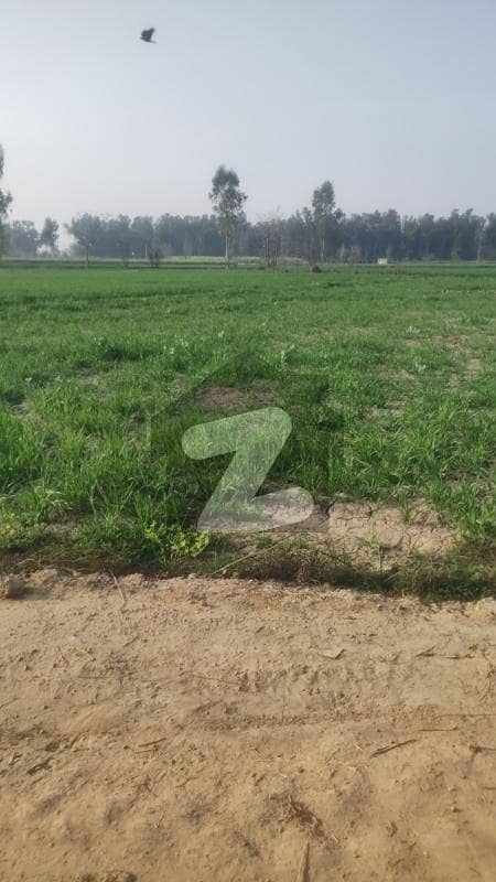 24 Kanal Hot Location Agriculture Land Available For Sale In Raja Jang Raiwind Kasur Road