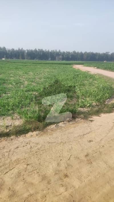 16 Kanal Agricultural Land Available For Sale In Raja Jang At Raiwind Kasure Road