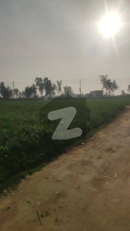 4 Kanal Agriculture Land Available For Sale In Raja Jang Raiwind To Kasur Road.