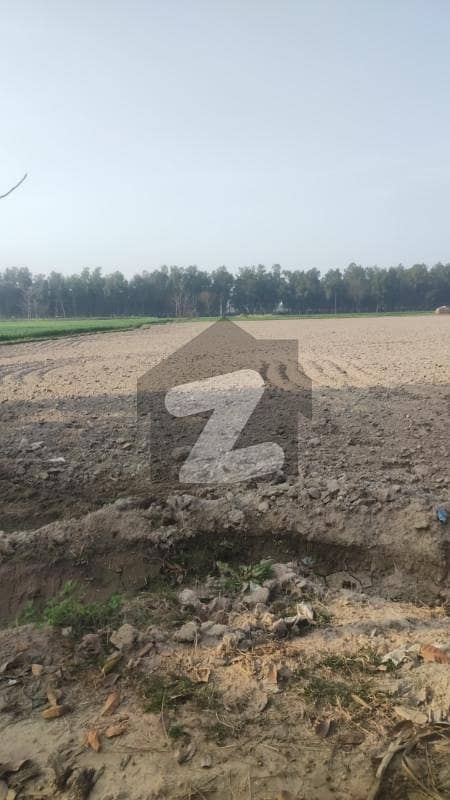 6 Kanal Agriculture Land Available For Sale In Raja Jang Raiwind To Kasur Road.