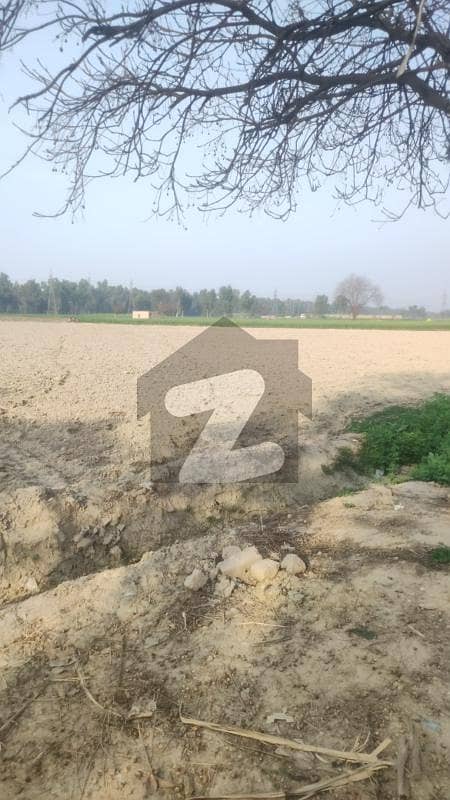 8 Kanal Agriculture Land Available For Sale In Raja Jang Raiwind To Kasur Road.