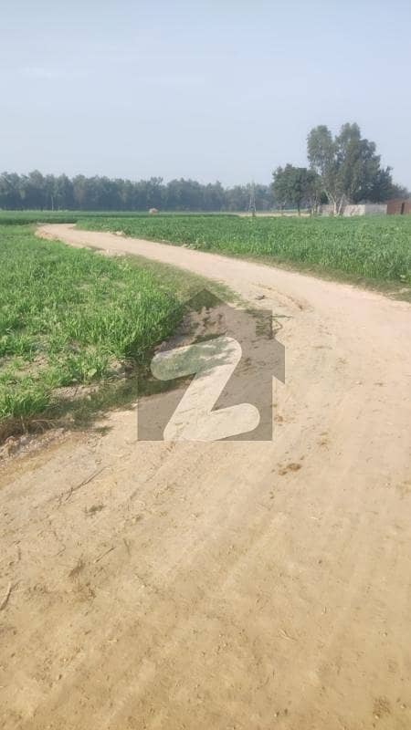 18 Kanal Agriculture Land Available For Sale In Raja Jang Raiwind To Kasur Road.