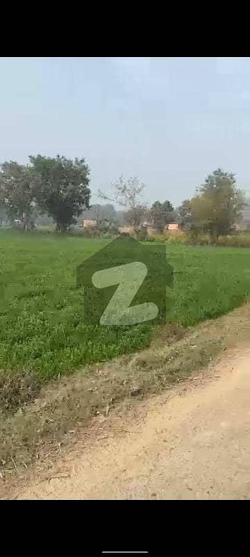 بیدیاں روڈ لاہور میں 1 کنال زرعی زمین 18.0 لاکھ میں برائے فروخت۔