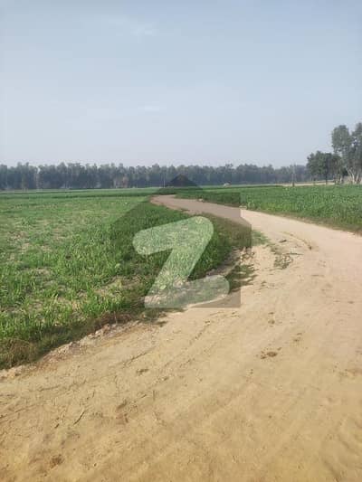 15 Kanal Agriculture Land Available For Sale In Raja Jang Raiwind To Kasur Road.