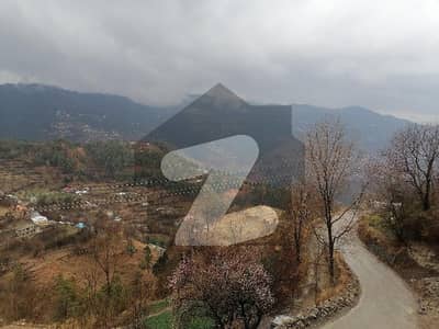 Plot For Sale In Lower Barian Road, Murree