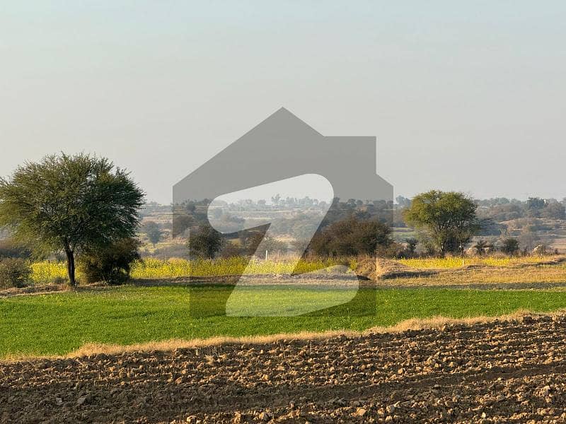 نیلہ دلہ انٹرچینج ایم-2 لاہور اسلام آباد موٹروے,چکوال میں 100 کنال زرعی زمین 4.0 کروڑ میں برائے فروخت۔