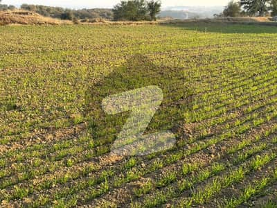 نیلہ دلہ انٹرچینج ایم-2 لاہور اسلام آباد موٹروے,چکوال میں 100 کنال زرعی زمین 4.0 کروڑ میں برائے فروخت۔