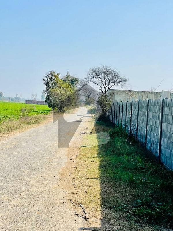بیدیاں روڈ لاہور میں 800 کنال زرعی زمین 16.0 ارب میں برائے فروخت۔