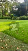 1 1