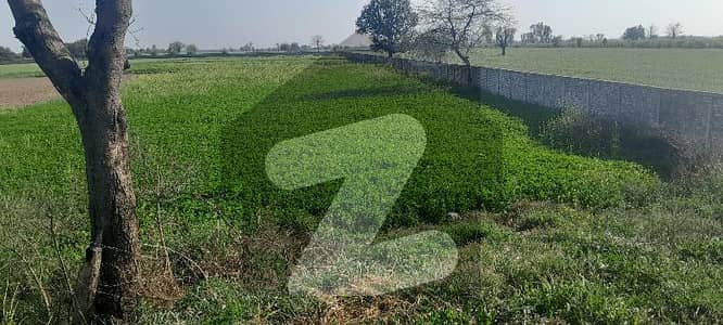 بیدیاں روڈ لاہور میں 32 کنال زرعی زمین 4.9 کروڑ میں برائے فروخت۔