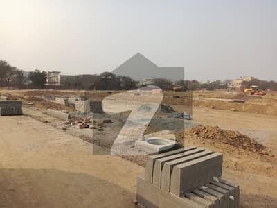 پائن