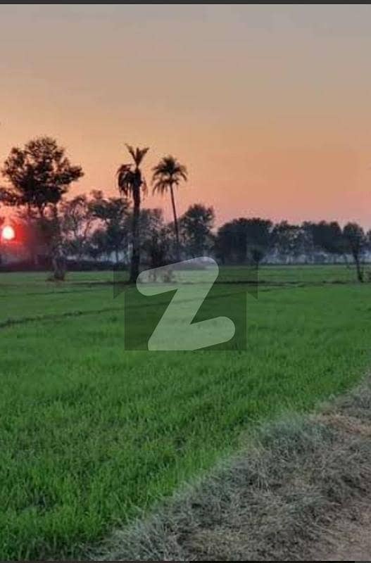 ڈی ایچ اے فیز 10 ڈیفنس (ڈی ایچ اے),لاہور میں 8 کنال زرعی زمین 3.0 کروڑ میں برائے فروخت۔