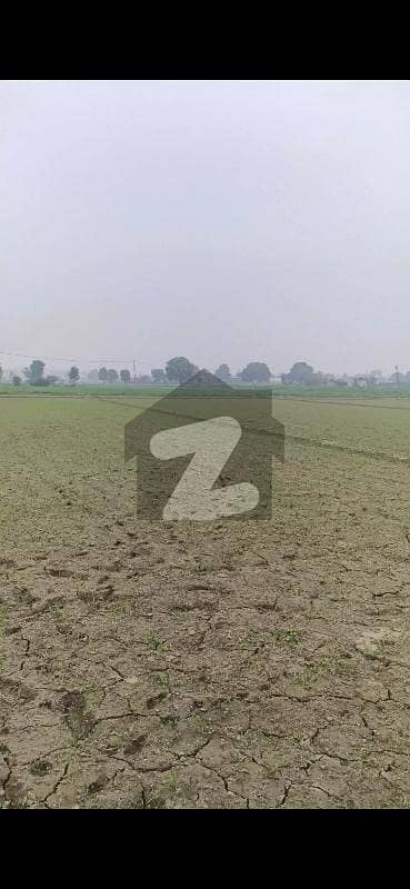 1,2,4 Kanal Farm house plot for sale before BRB Canal