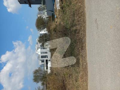 1 Kanal Plot For Sale In D-12 Islamabad