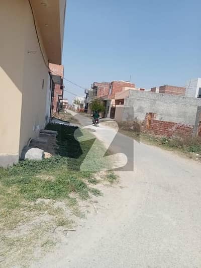 ایلیٹ