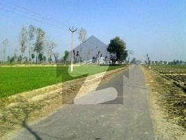 600 Kanal Agricultural Land For Sale In Pind Dadal Khan Road