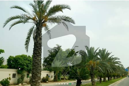 5 Marla Residential Plot For Sale In Attractive Location At 100 Feet Road -Jhelum Block Extension