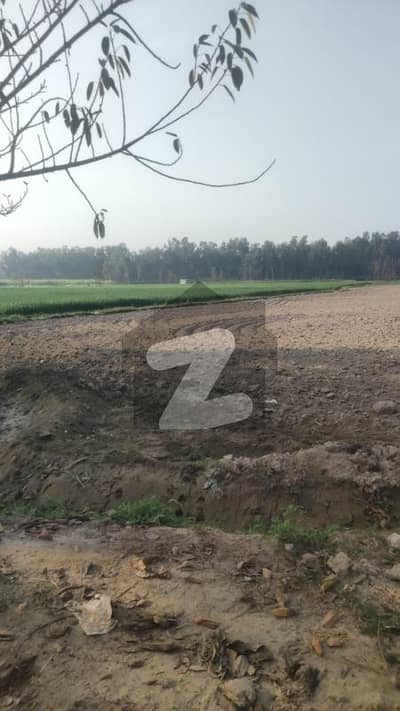 32 Kanal Hot Location Agriculture Land Available For Sale In Main Raiwind Kasur Road