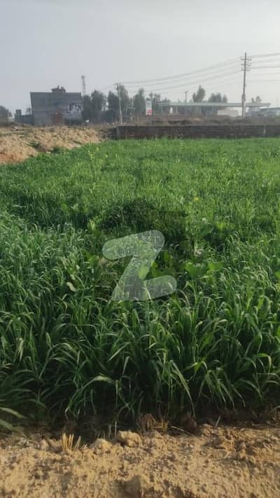 24 Kanal Agriculture Land Available For Sale In Main Raiwind Kasur Road