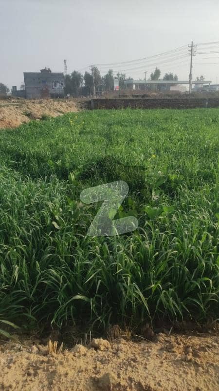 24 Kanal Agriculture Land Available For Sale In Main Raiwind Kasur Road