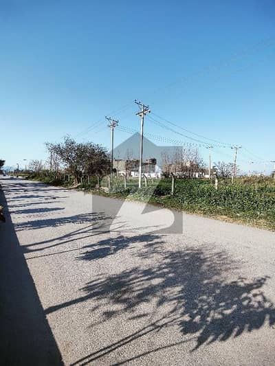 40*130 Commercial Plot For Sale In Sector I-11/3 Islamabad Extreme Beautiful Location For Make Any Commerical Project