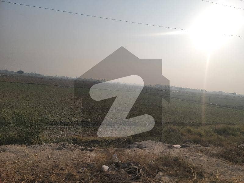 24 Kanal Agricultural Land For Sale In Narowal Muridike Road